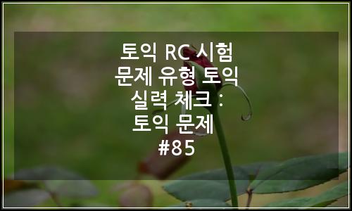 오늘의 이미지