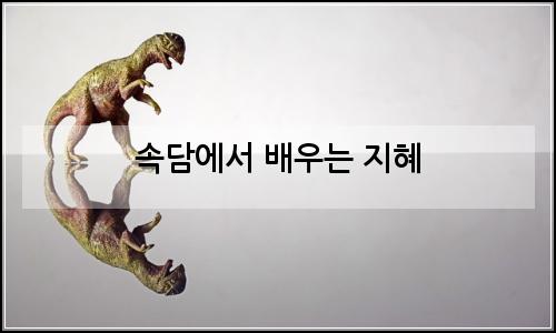 오늘의 이미지
