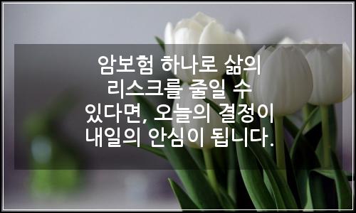 오늘의 이미지