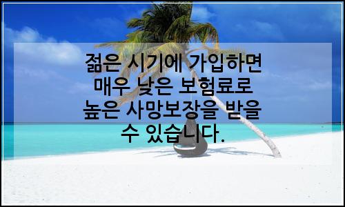 오늘의 이미지