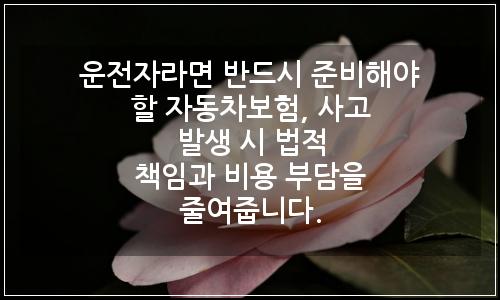 오늘의 이미지