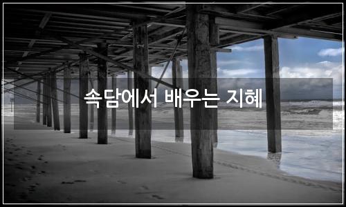 오늘의 이미지