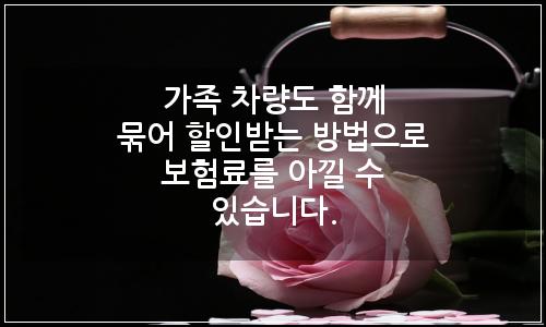 오늘의 이미지