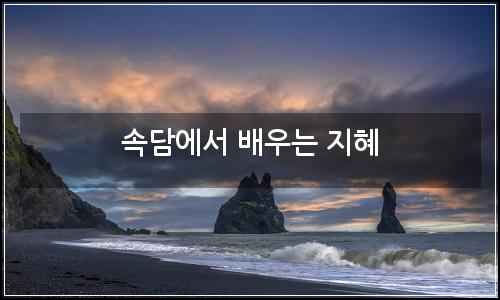 오늘의 이미지