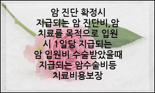 오늘의 이미지