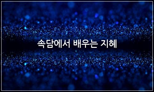 오늘의 이미지