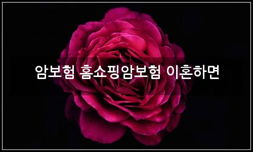 오늘의 이미지