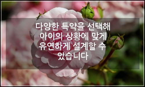오늘의 이미지