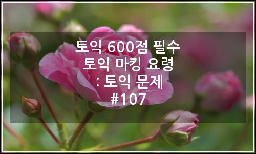 오늘의 이미지