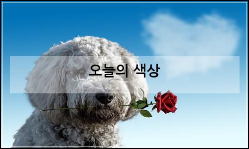 오늘의 이미지