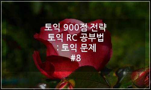 오늘의 이미지