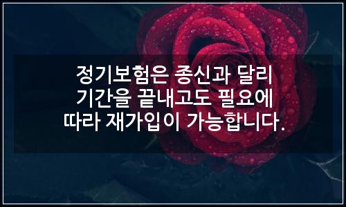 오늘의 이미지