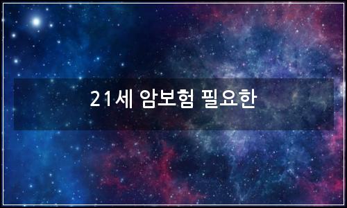 오늘의 이미지