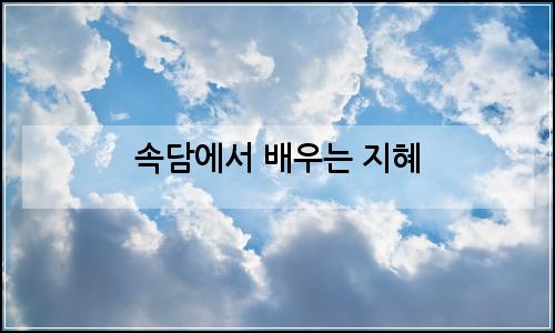 오늘의 이미지