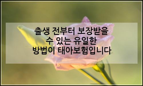 오늘의 이미지