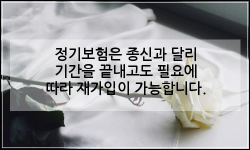 오늘의 이미지