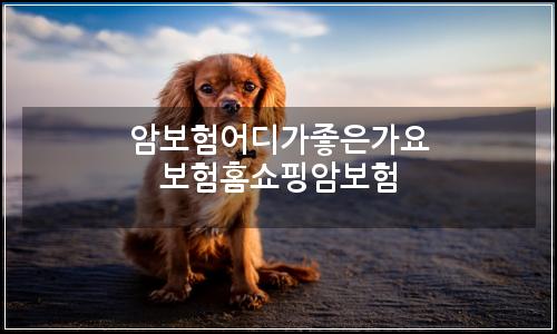 오늘의 이미지