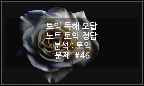 오늘의 이미지