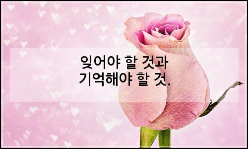 오늘의 이미지