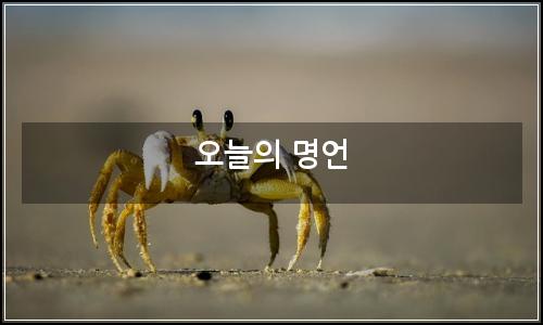 오늘의 이미지