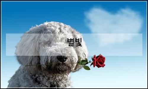 오늘의 이미지