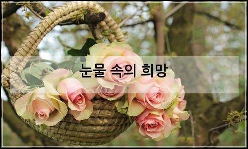 오늘의 이미지