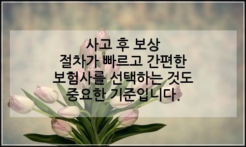 오늘의 이미지