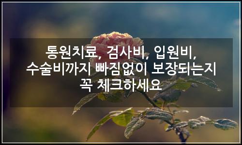 오늘의 이미지