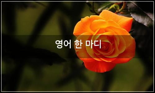 오늘의 이미지