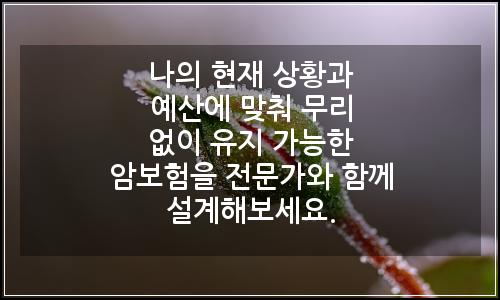 오늘의 이미지