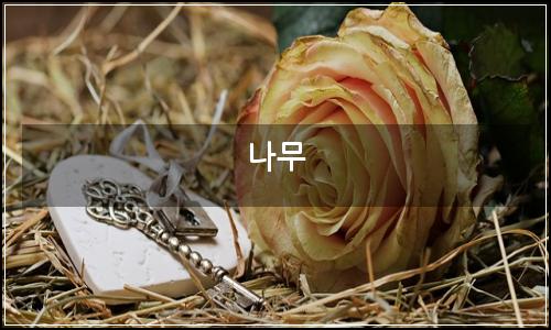 오늘의 이미지