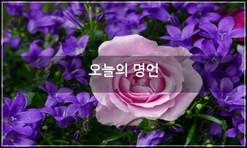 오늘의 이미지