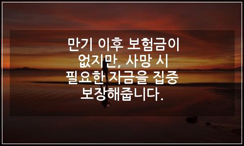 오늘의 이미지