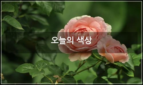 오늘의 이미지