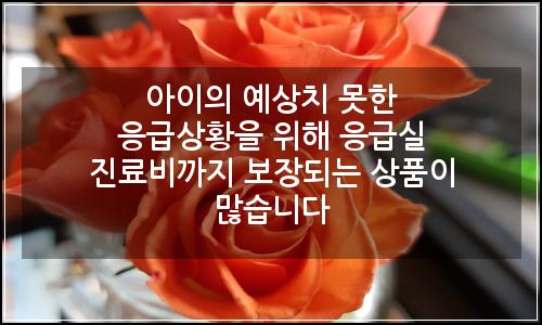 오늘의 이미지