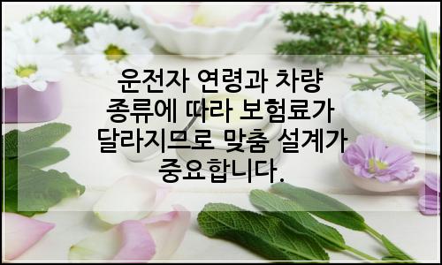 오늘의 이미지