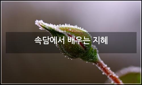 오늘의 이미지