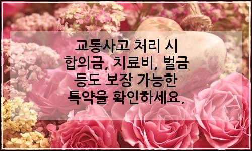 오늘의 이미지