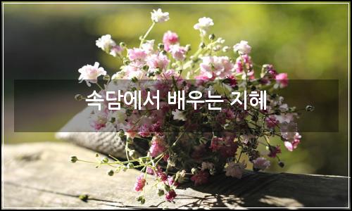 오늘의 이미지