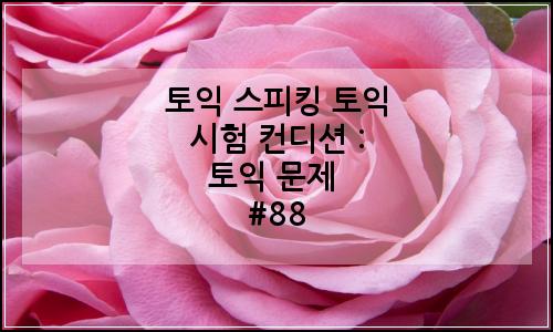 오늘의 이미지